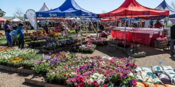 Jardinería local, gratis y al aire libre, en la Expo Viveros de Adrogué