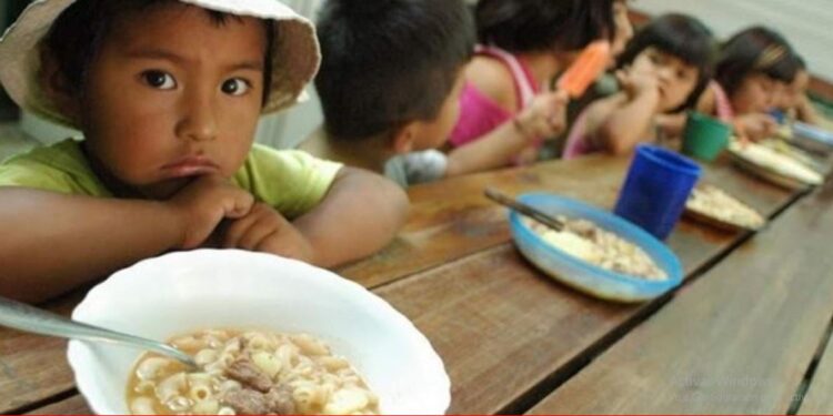 Más del 40% de los niños y adolescentes tienen problemas de nutrición en Argentina