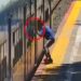 Metió la mano por la ventanilla del tren en Adrogué, arrebató un celular y fue detenido