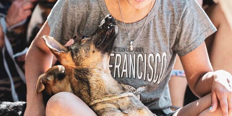 Ante la ola de calor, Zoonosis Brown difundió recomendaciones para cuidar a los animales