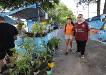 Lanús llevará a cabo una nueva edición de la Feria de Artesanías y Paseo de compras