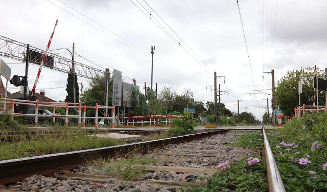 Renovarán las vías del tren Roca entre las estaciones Adrogué y Burzaco y entre Turdera y Llavallol