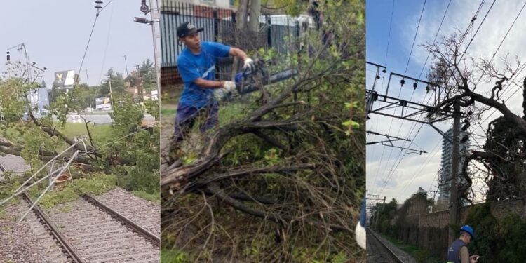 Trenes con atraso, hogares sin luz, postes y árboles caídos: las consecuencias del temporal