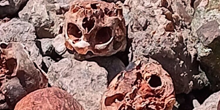 Hallaron 17 cráneos humanos en la costa de Quilmes