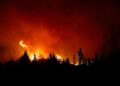 Burzaco: festival solidario por los incendios de la Patagonia