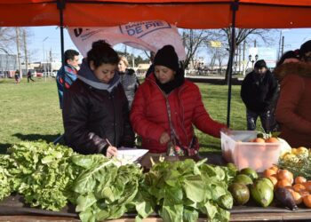 Guernica: la feria de las familias productoras vuelve con un taller de huerta