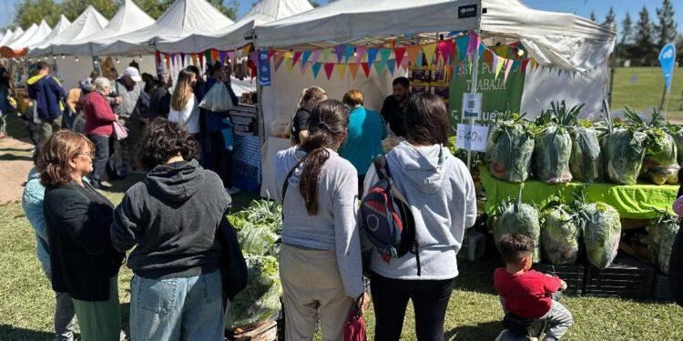 Circuito ahorro Brown: en qué localidades está y cuales son los descuentos