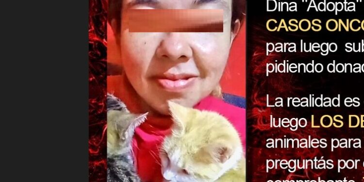 Denuncian que una vecina de Mármol adopta animales, pide donativos y los abandona