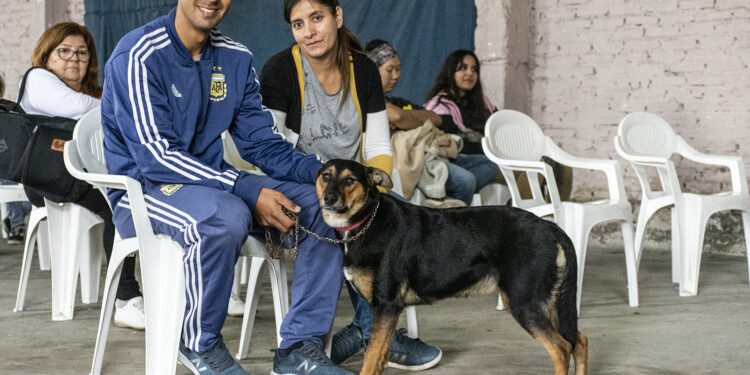 Brown conmemora el «Día del animal» anunciando una nueva campaña de castraciones masivas