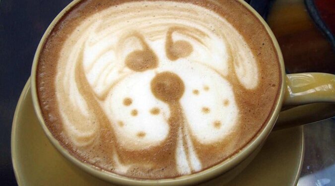 Café literario en Adrogué dedicado a los perros: cómo participar con tu obra