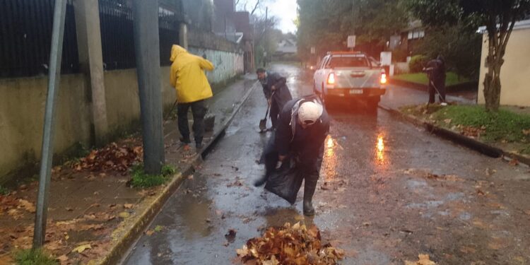 Los equipos del municipio de Brown trabajan en barrios y localidades frente a la tormenta en el AMBA