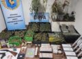 Operativo de la policía federal en Rivadavia: secuestraron 16 kilos de marihuana