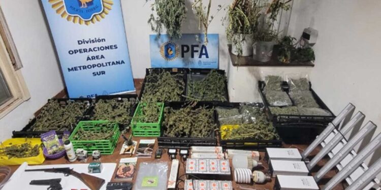 Operativo de la policía federal en Rivadavia: secuestraron 16 kilos de marihuana