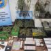 Operativo de la policía federal en Rivadavia: secuestraron 16 kilos de marihuana