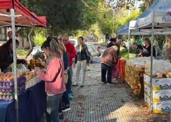 Las propuestas para ahorrar en compras en Almirante Brown