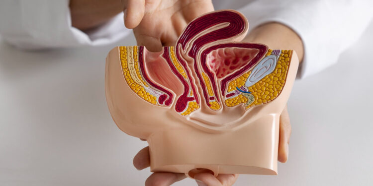 Cáncer de próstata: las claves para prevenir, detectar y tratar a tiempo