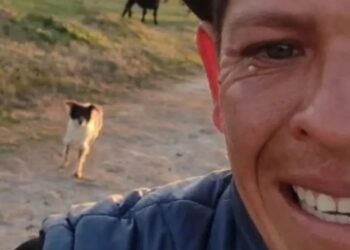 Despidieron a un peón rural de San Vicente después de 11 años y rompió en llanto por su perro