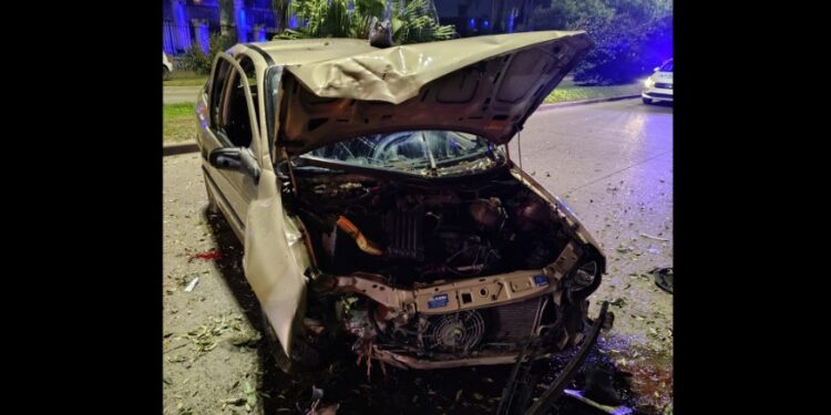 Longchamps ATR: un conductor chocó contra un árbol