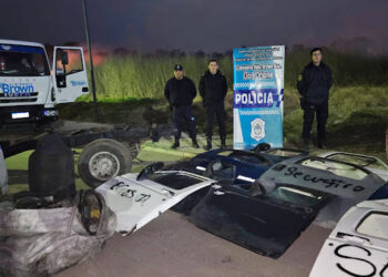 Desbarataron un desarmadero en Don Orione y hay dos detenidos