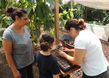Guernica: dictan un taller de huerta comunitaria y comercio local
