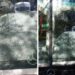 Con un ladrillo atacó un colectivo en Lomas: «Yo rompí el parabrisas porque…»