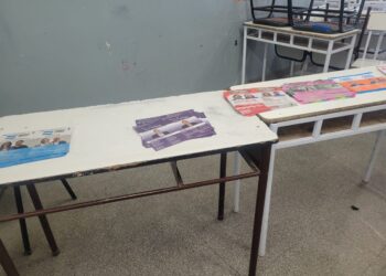 Elecciones en Provincia: a qué hora estarán los primeros resultados oficiales