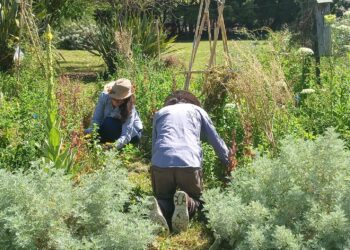 Abren la inscripción para las tecnicaturas gratuitas de la escuela de jardinería de Lomas
