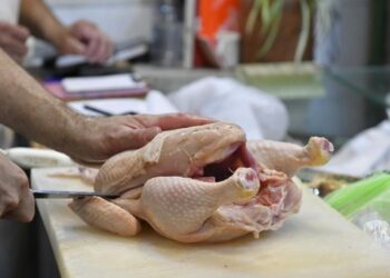 «Nos van a salir alitas»: el consumo de pollo es el más alto de la última década