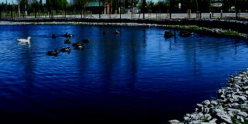 Para celebrar el Día de Madre, llega un especial nocturno a la Granja Municipal