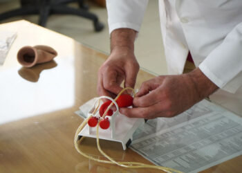 Creció el numero de vasectomías en la provincia: en que hospitales hacérsela en la región