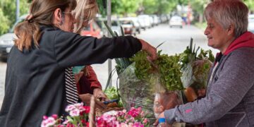 Los mercados de Brown: el cronograma de noviembre para comprar directamente al productor