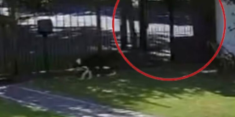 Alerta en Adrogué por una nueva y peligrosa modalidad de robo