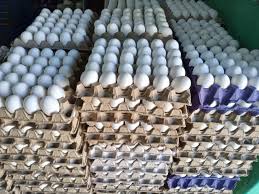 Argentina bate récords en huevos y ya es la primera consumidora del mundo