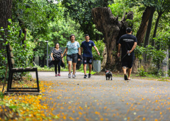 Los tres parque públicos de Brown para disfrutar este verano