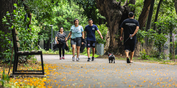 Los tres parque públicos de Brown para disfrutar este verano