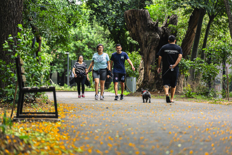 Los tres parque públicos de Brown para disfrutar este verano