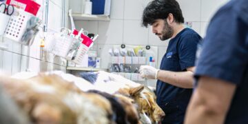 Las veterinarias de Brown ofrecerán descuento para el cuidado de animales castrados
