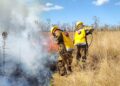 Impresionante incendio en campos de Korn necesitó de seis cuarteles de bomberos