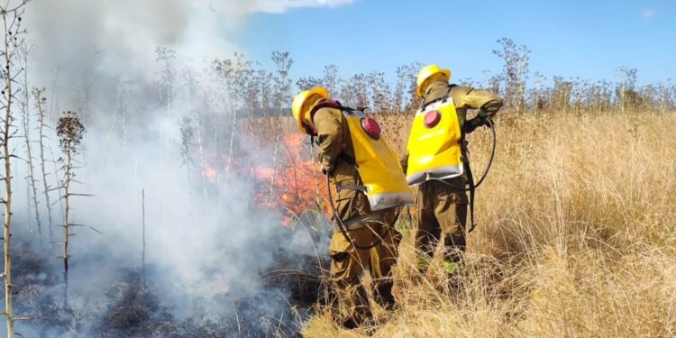 Impresionante incendio en campos de Korn necesitó de seis cuarteles de bomberos