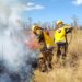 Impresionante incendio en campos de Korn necesitó de seis cuarteles de bomberos