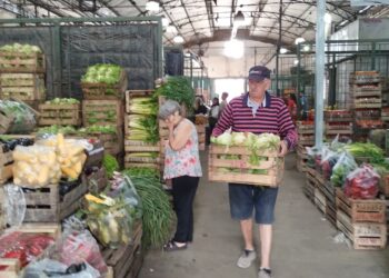 Mercados mayoristas de frutas y verduras de Burzaco y Calzada: una opción para comprar barato y comer sano