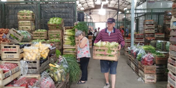 Mercados mayoristas de frutas y verduras de Burzaco y Calzada: una opción para comprar barato y comer sano