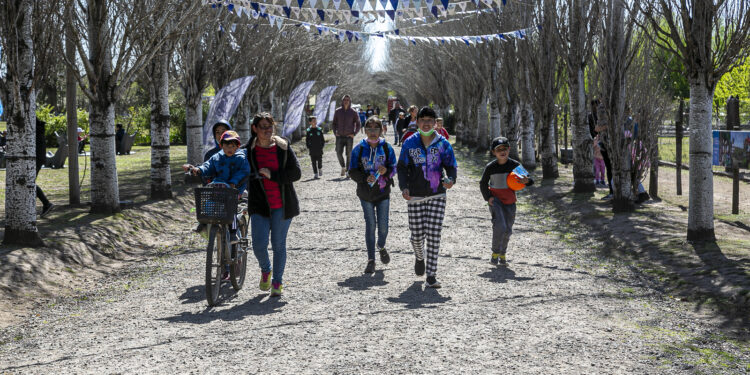 Este fin de semana llega una nueva edición de granja nocturna a Brown