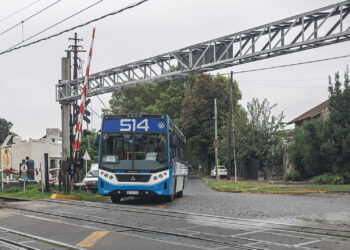 Brown suma un nuevo ramal de colectivos que conecta la estación de Solano con Adrogué por Amenedo