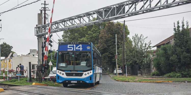 Brown suma un nuevo ramal de colectivos que conecta la estación de Solano con Adrogué por Amenedo