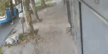 Horror en Lomas: un niño bajó del colectivo, quedó enganchado en las ruedas y fue arrastrado