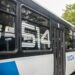 Confirman el nuevo ramal de colectivo que conecta Solano, San José, Mármol y Adrogué