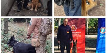 Brown fue sede de la certificación nacional de las brigadas caninas