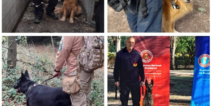 Brown fue sede de la certificación nacional de las brigadas caninas