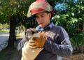 Solano: los Bomberos rescataron un gato que se había caído a un pozo
